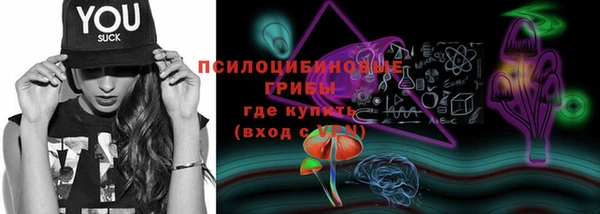 мдпв Заволжск