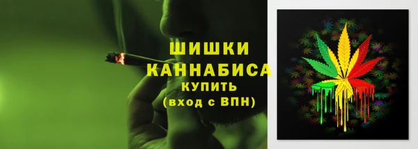 мдпв Заволжск