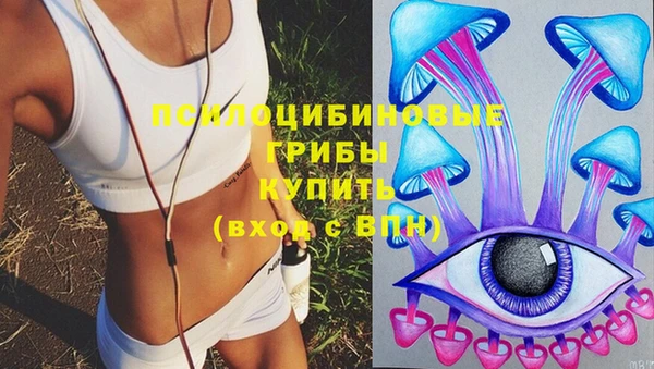 молекула духа Заводоуковск