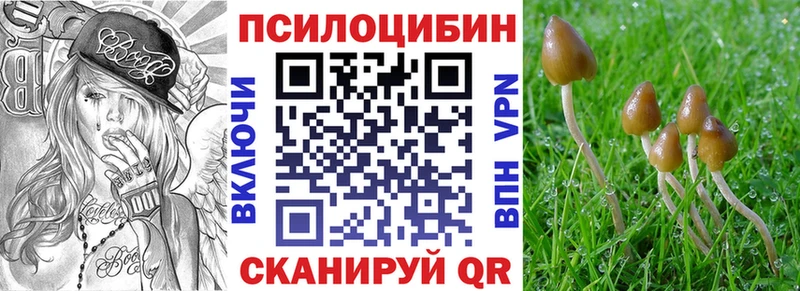 Купить где  Исилькуль  Галлюциногенные грибы прущие грибы 